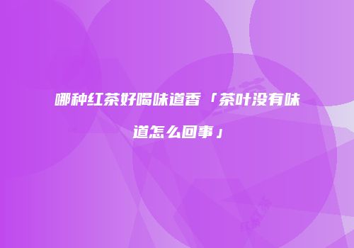 哪种红茶好喝味道香「茶叶没有味道怎么回事」