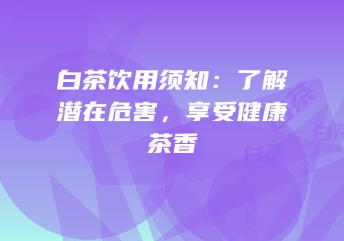 白茶饮用须知：了解潜在危害，享受健康茶香