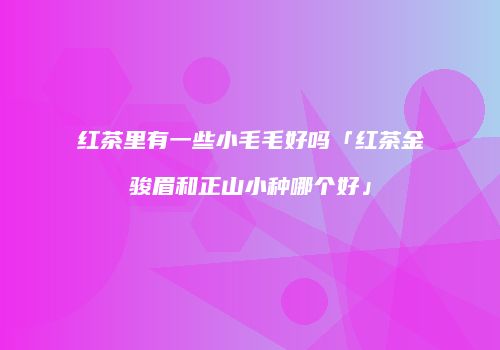 红茶里有一些小毛毛好吗「红茶金骏眉和正山小种哪个好」