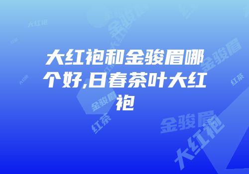 大红袍和金骏眉哪个好,日春茶叶大红袍