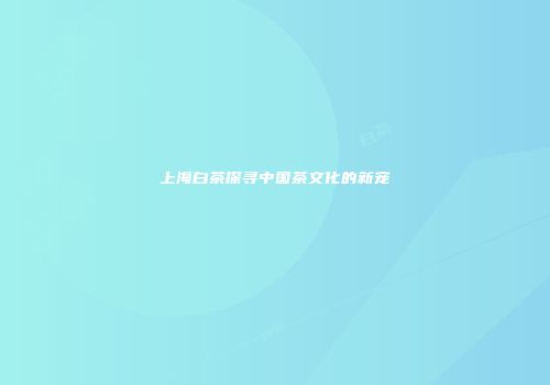 上海白茶探寻中国茶文化的新宠