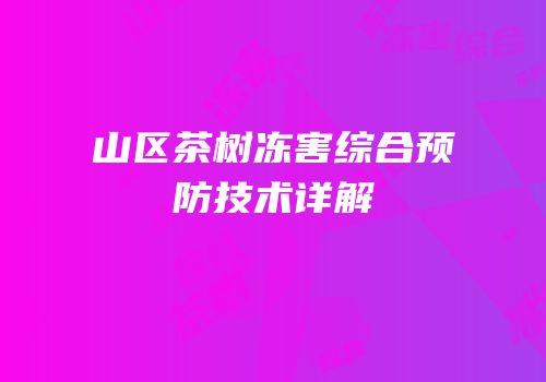 山区茶树冻害综合预防技术详解