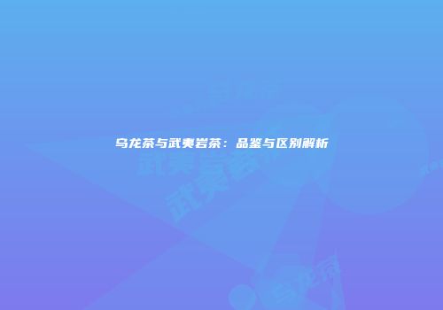 乌龙茶与武夷岩茶：品鉴与区别解析
