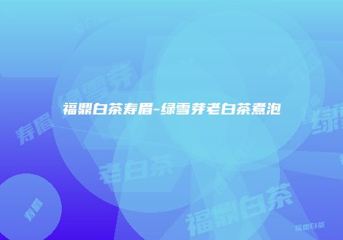 福鼎白茶寿眉-绿雪芽老白茶煮泡
