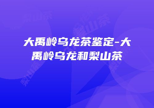 大禹岭乌龙茶鉴定-大禹岭乌龙和梨山茶