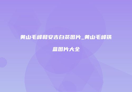 黄山毛峰和安吉白茶图片_黄山毛峰铁盒图片大全