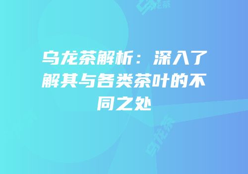 乌龙茶解析：深入了解其与各类茶叶的不同之处