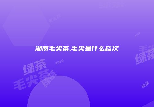 湖南毛尖茶,毛尖是什么档次