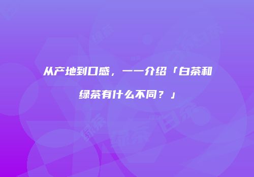 从产地到口感，一一介绍「白茶和绿茶有什么不同？」