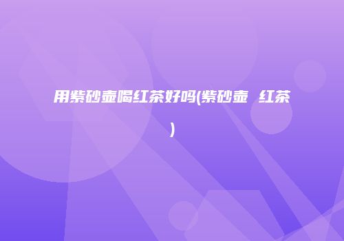 用紫砂壶喝红茶好吗(紫砂壶 红茶)