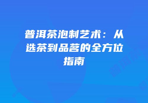 普洱茶泡制艺术：从选茶到品茗的全方位指南