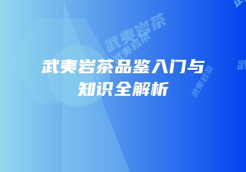 武夷岩茶品鉴入门与知识全解析