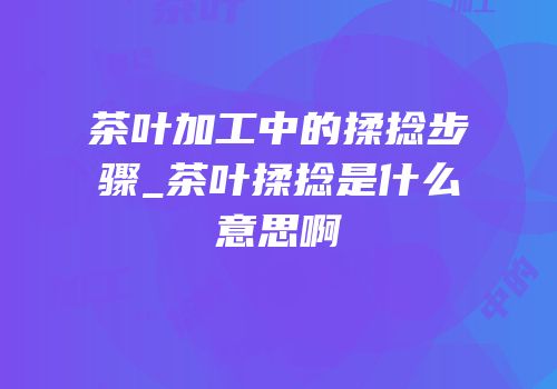 茶叶加工中的揉捻步骤_茶叶揉捻是什么意思啊
