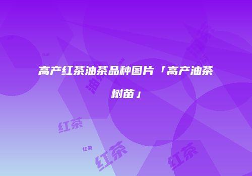 高产红茶油茶品种图片「高产油茶树苗」