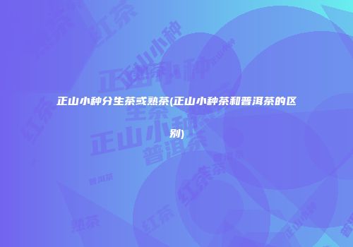 正山小种分生茶或熟茶(正山小种茶和普洱茶的区别)