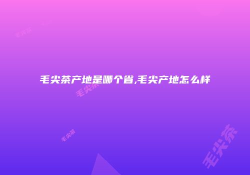 毛尖茶产地是哪个省,毛尖产地怎么样