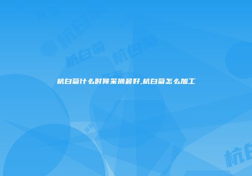 杭白菊什么时候采摘最好,杭白菊怎么加工