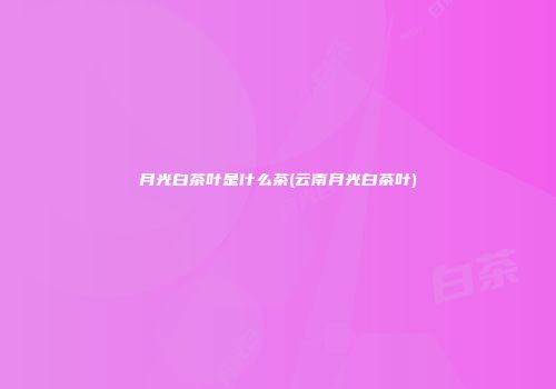 月光白茶叶是什么茶(云南月光白茶叶)