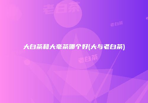 大白茶和大毫茶哪个好(大与老白茶)