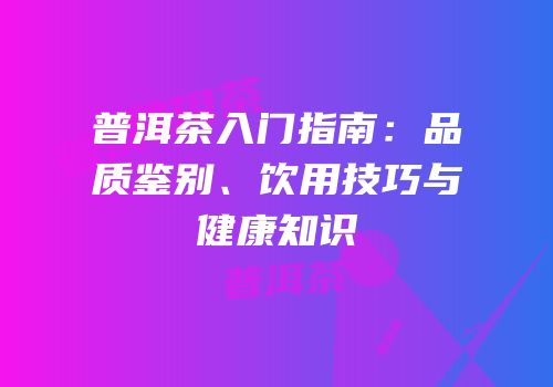 普洱茶入门指南：品质鉴别、饮用技巧与健康知识
