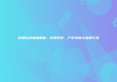 政和白茶深度解析：历史评价、产区特色与品牌介绍
