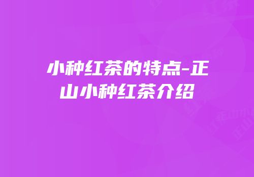 小种红茶的特点-正山小种红茶介绍