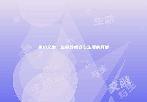 茶水交融：生命的蜕变与生活的真谛