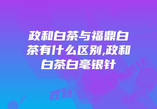 政和白茶与福鼎白茶有什么区别,政和白茶白毫银针