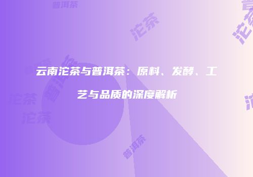 云南沱茶与普洱茶：原料、发酵、工艺与品质的深度解析