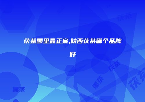 茯茶哪里最正宗,陕西茯茶哪个品牌好