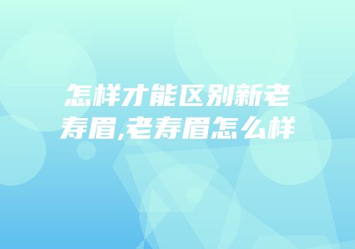 怎样才能区别新老寿眉,老寿眉怎么样