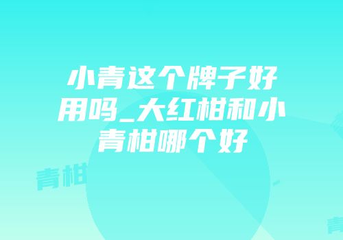 小青这个牌子好用吗_大红柑和小青柑哪个好