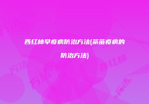 西红柿早疫病防治方法(茶苗疫病的防治方法)