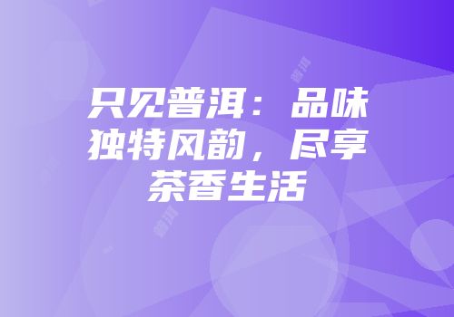 只见普洱：品味独特风韵，尽享茶香生活