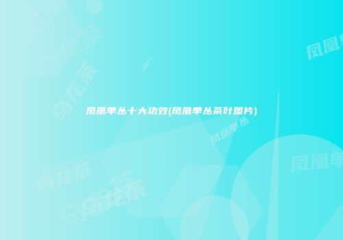 凤凰单丛十大功效(凤凰单丛茶叶图片)