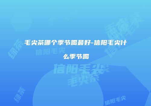 毛尖茶哪个季节喝最好-信阳毛尖什么季节喝