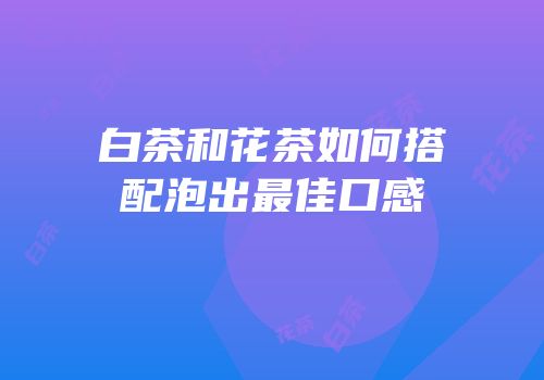 白茶和花茶如何搭配泡出最佳口感
