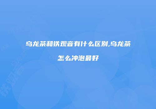乌龙茶和铁观音有什么区别,乌龙茶怎么冲泡最好