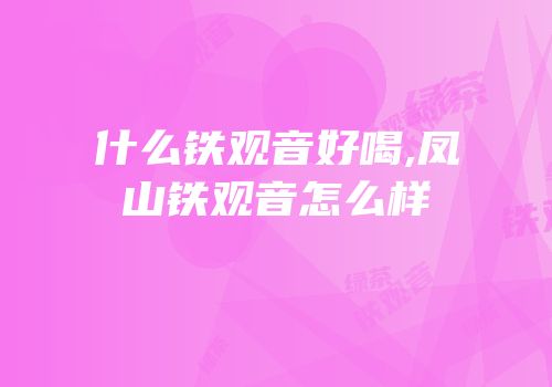 什么铁观音好喝,凤山铁观音怎么样