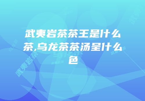 武夷岩茶茶王是什么茶,乌龙茶茶汤呈什么色