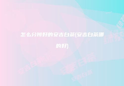 怎么分辨好的安吉白茶(安吉白茶哪的好)
