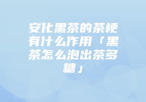 安化黑茶的茶梗有什么作用「黑茶怎么泡出茶多糖」