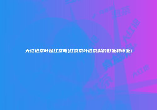 大红袍茶叶是红茶吗(红茶茶叶泡茶喝的好处和坏处)