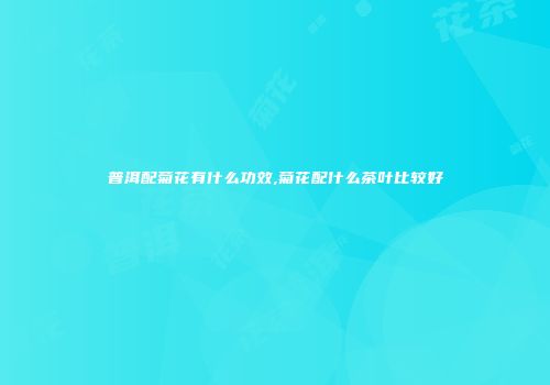 普洱配菊花有什么功效,菊花配什么茶叶比较好