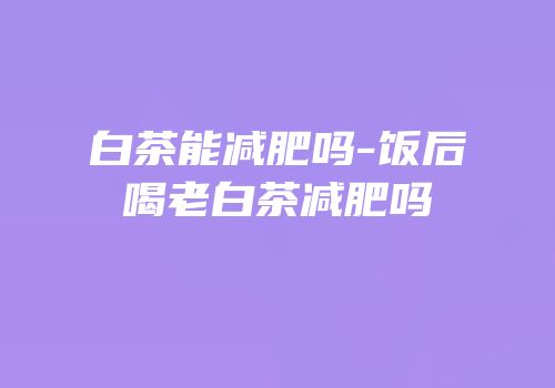 白茶能减肥吗-饭后喝老白茶减肥吗