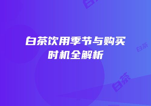 白茶饮用季节与购买时机全解析