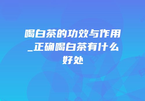 喝白茶的功效与作用_正确喝白茶有什么好处