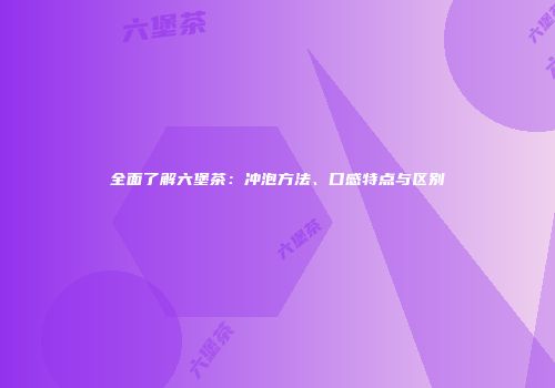 全面了解六堡茶：冲泡方法、口感特点与区别