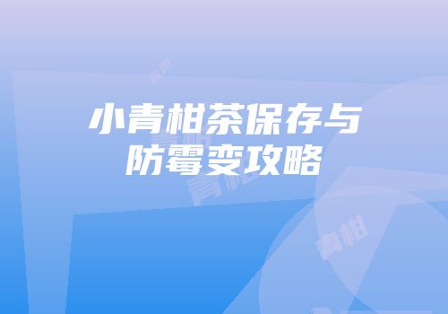 小青柑茶保存与防霉变攻略