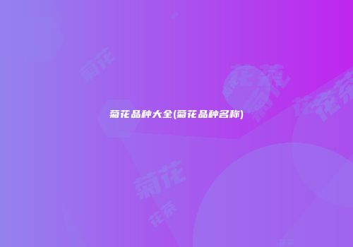菊花品种大全(菊花品种名称)